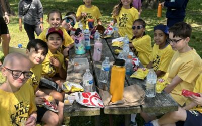 Order Field Day Lunch
